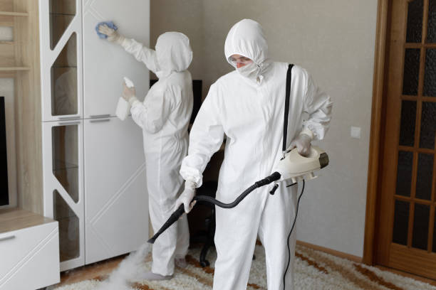 24/7 Emergency Odor Removal experts in South Prairie, WA